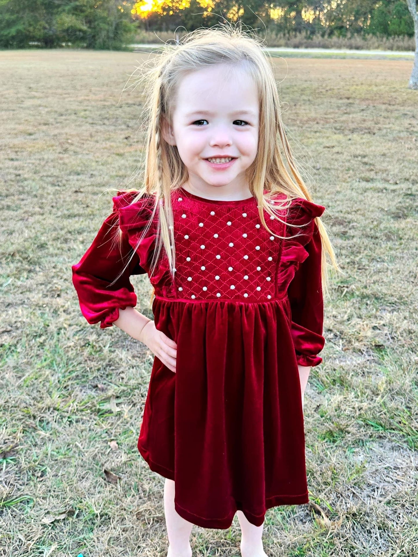 Velvet and Pearls Dress (RTS)