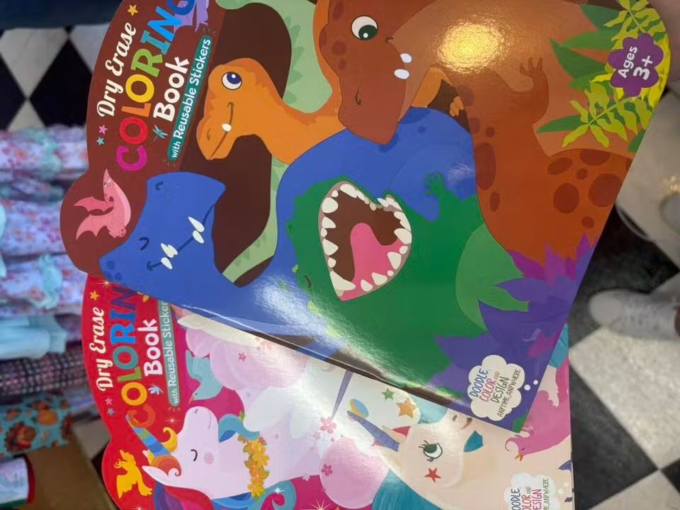 Dry Erase Coloring Books - Dino (RTS)