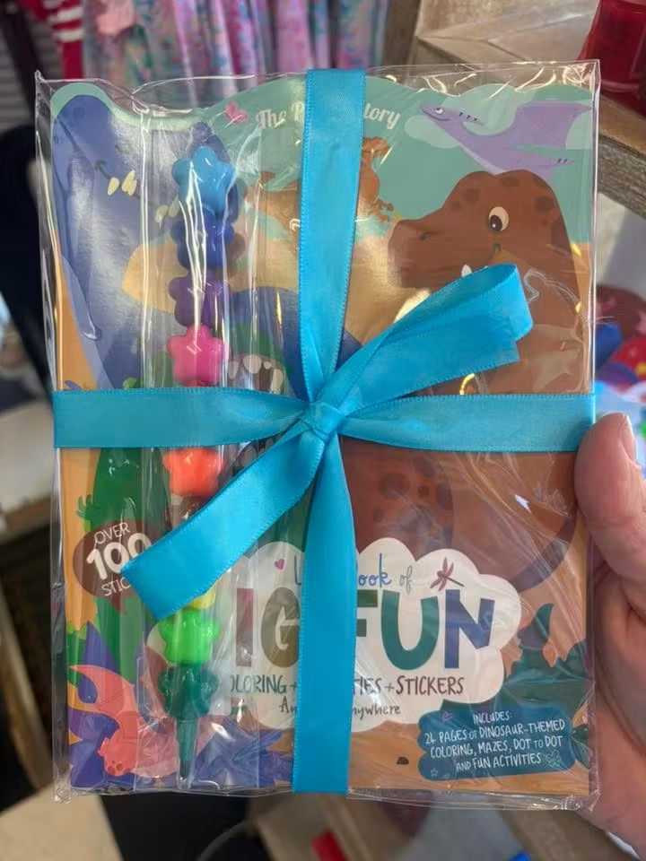 Big Fun Dino Set (RTS)